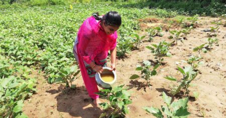 Natural farming