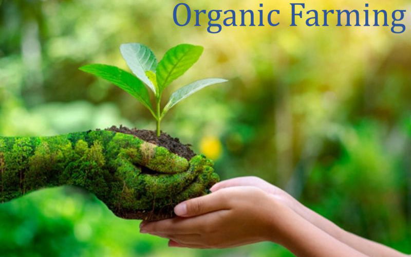 Organic farming