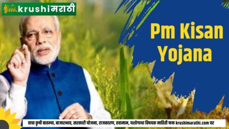 Pm Kisan Yojana