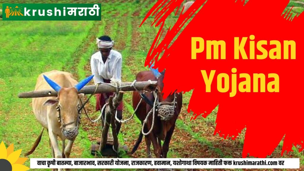 pm kisan yojana