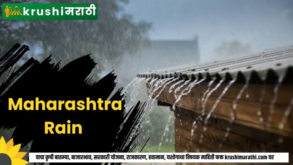 maharashtra rain