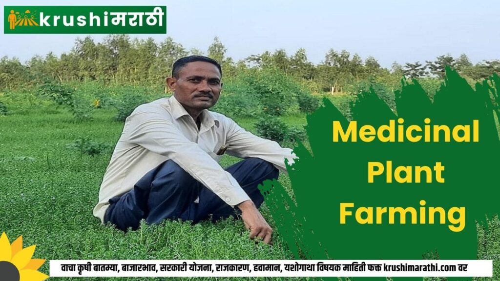 medicinal plant farming