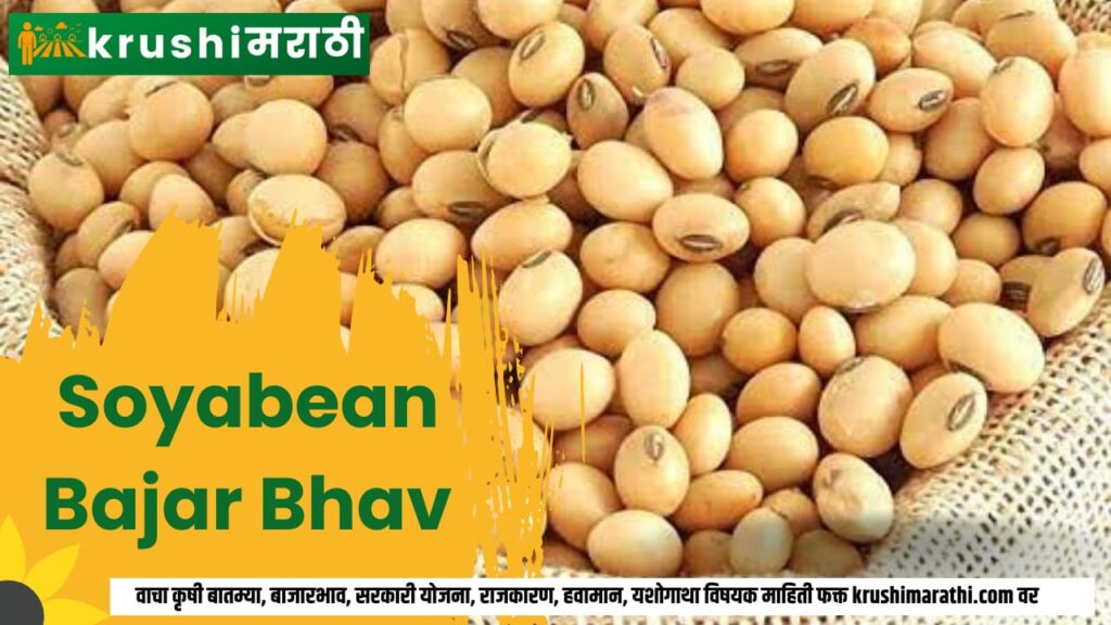 soyabean bajar bhav