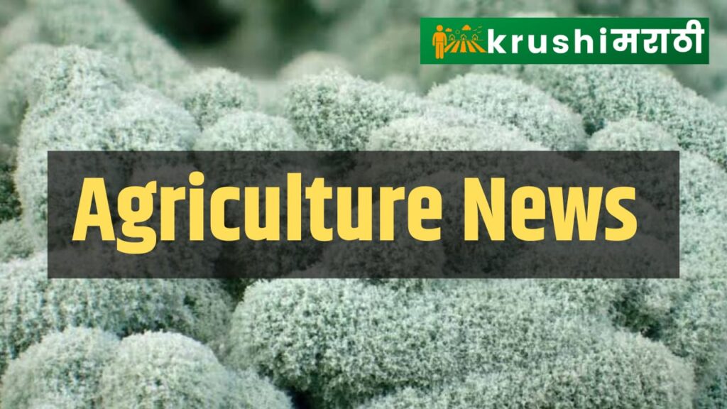 agriculture News