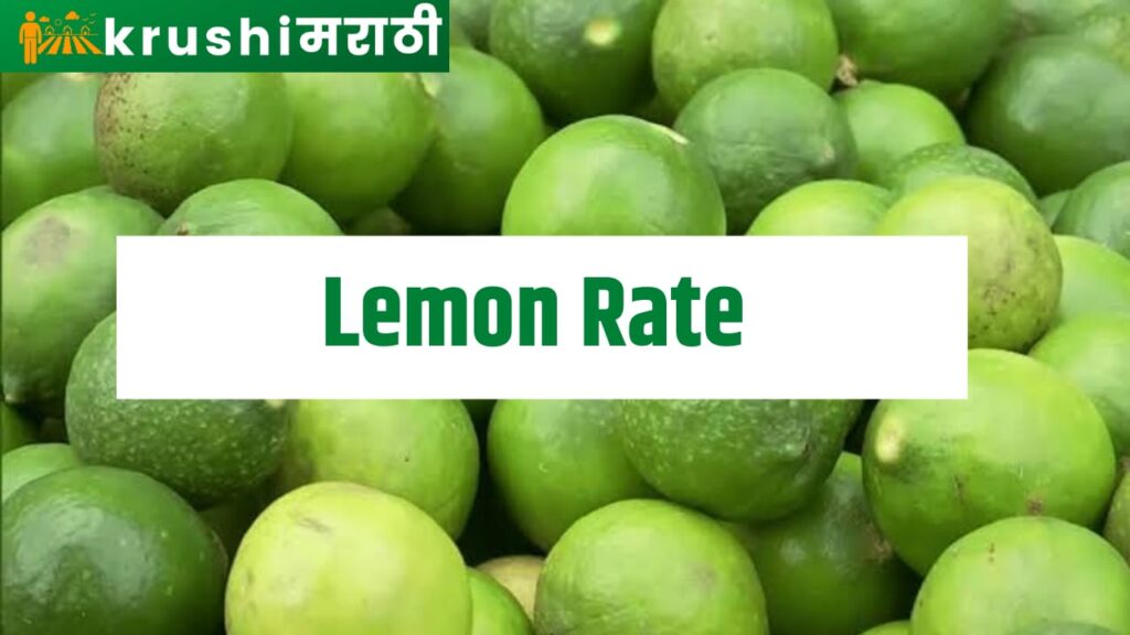 lemon rate