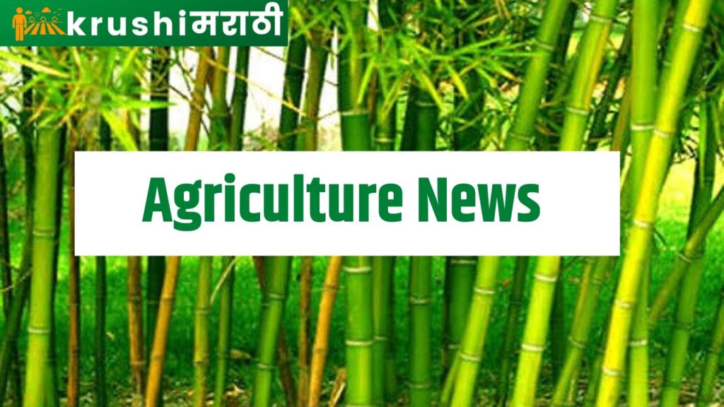 agriculture news