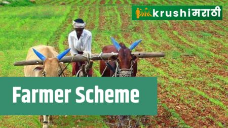 Maharashtra Farmer Scheme