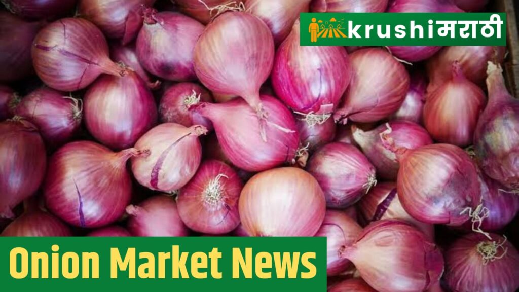 onion market news