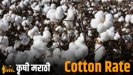 Cotton Rate Hike