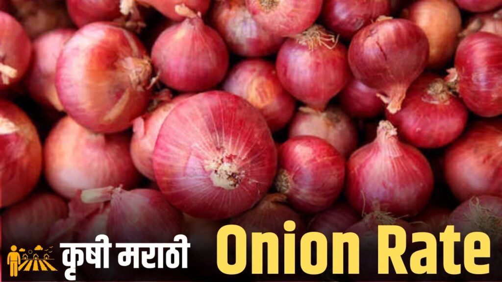 Onion Rate Hike