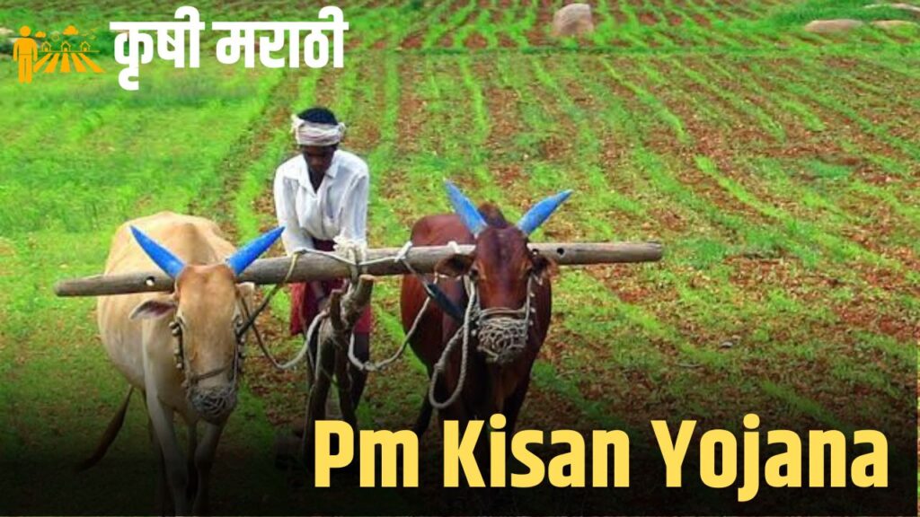 pm kisan yojana