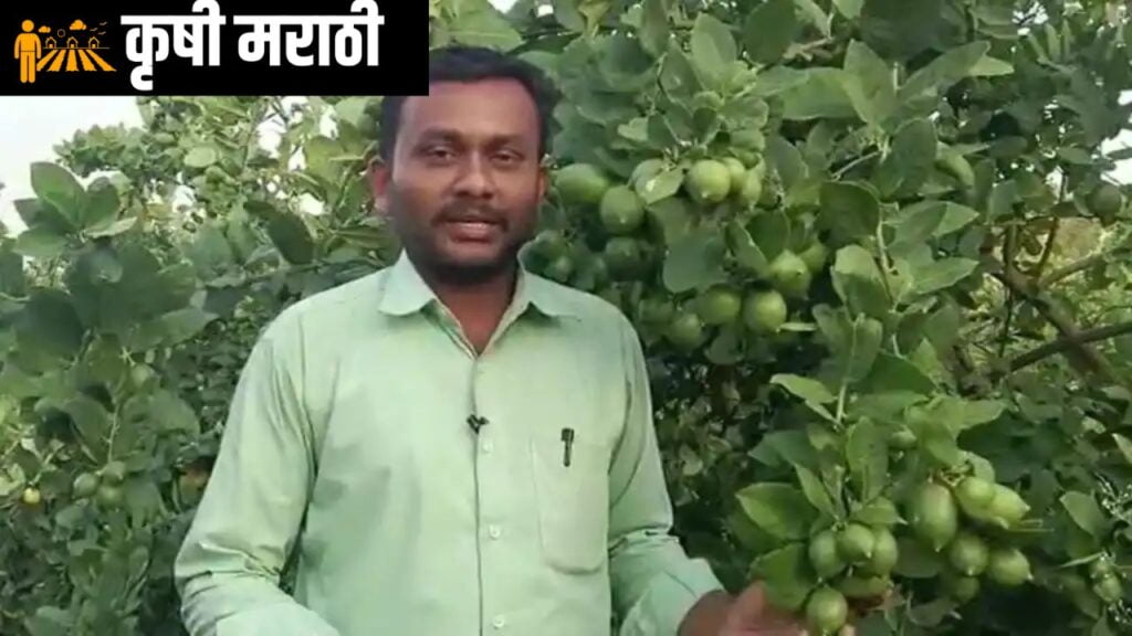 Nanded Successful Farmer