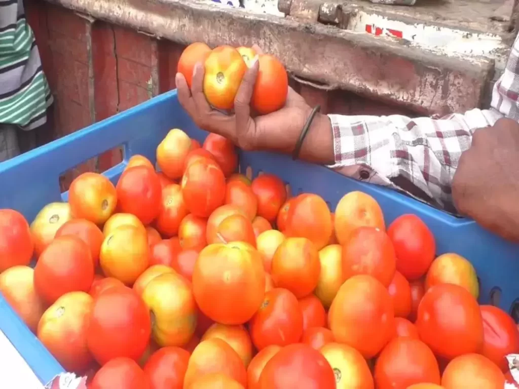 Tomato Price