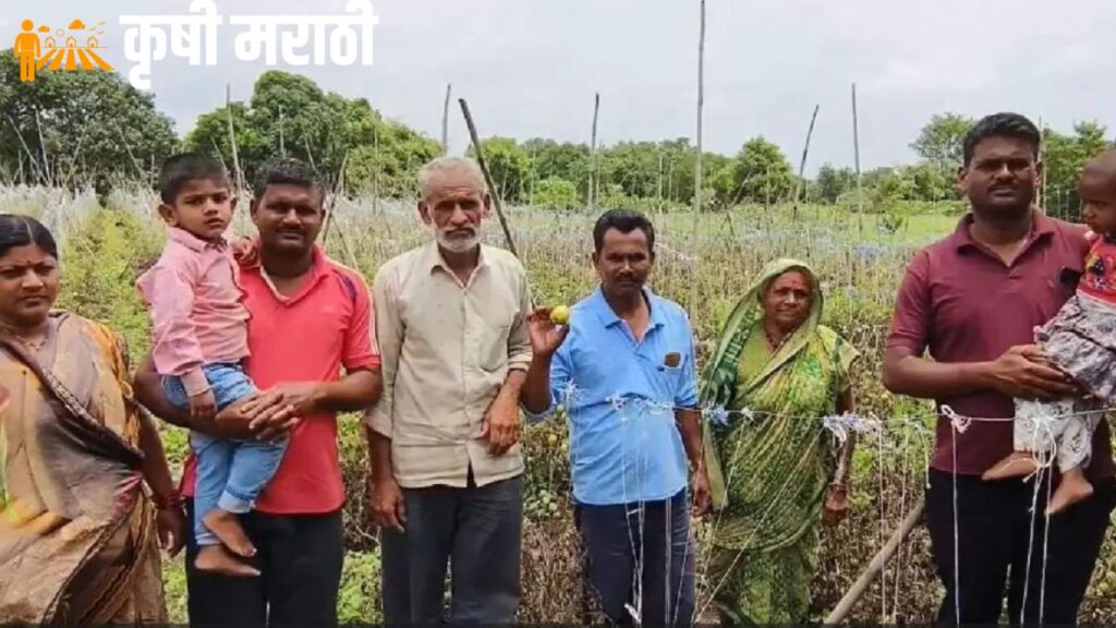 Ahmednagar Farmer Success Story