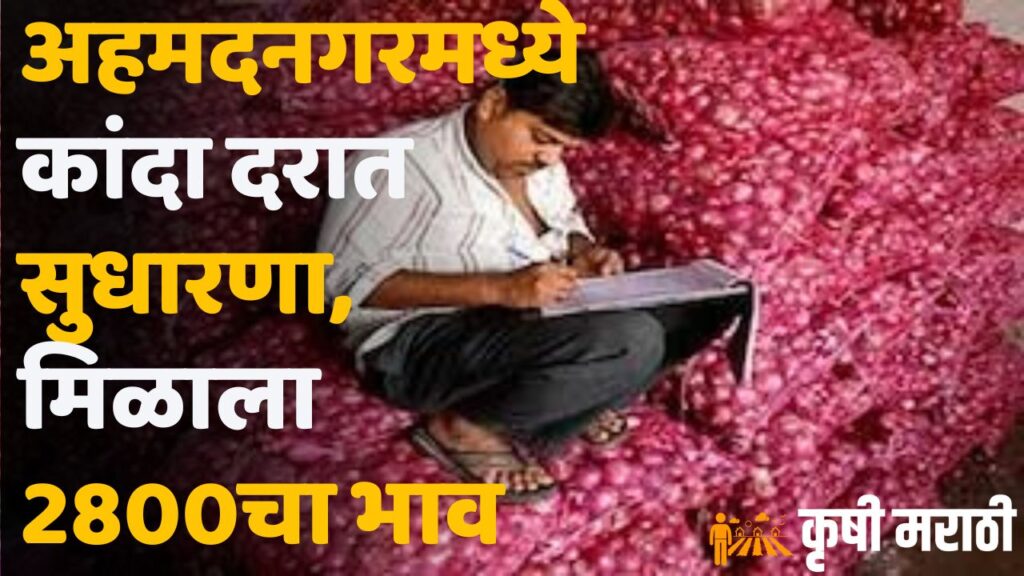 Ahmednagar Onion Rate