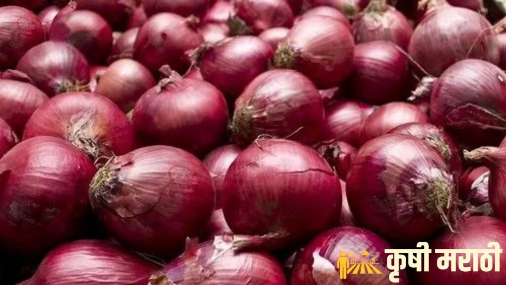 Ahmednagar Onion Rate