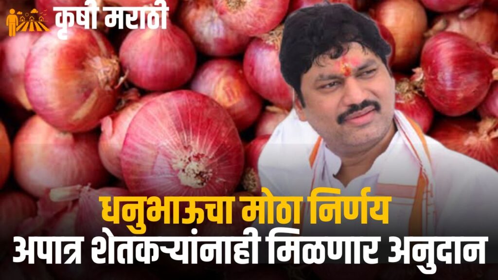 Kanda Anudan Maharashtra News