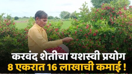 Maharashtra Farmer Success Story