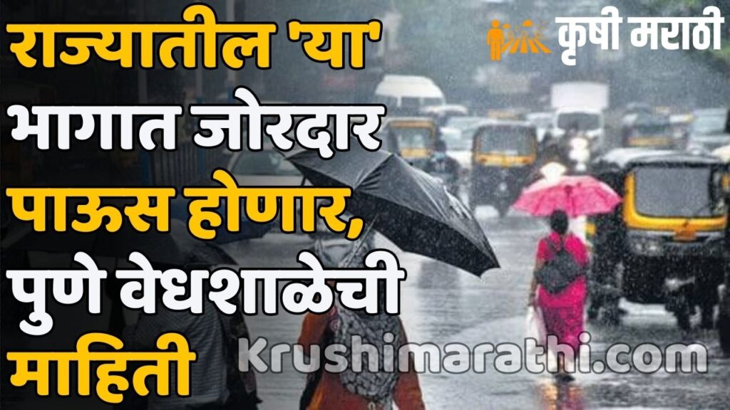 Maharashtra Rain News