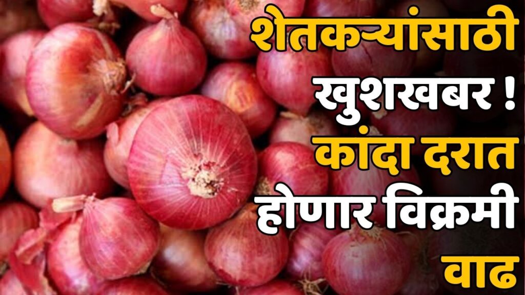 Onion Rate Maharashtra