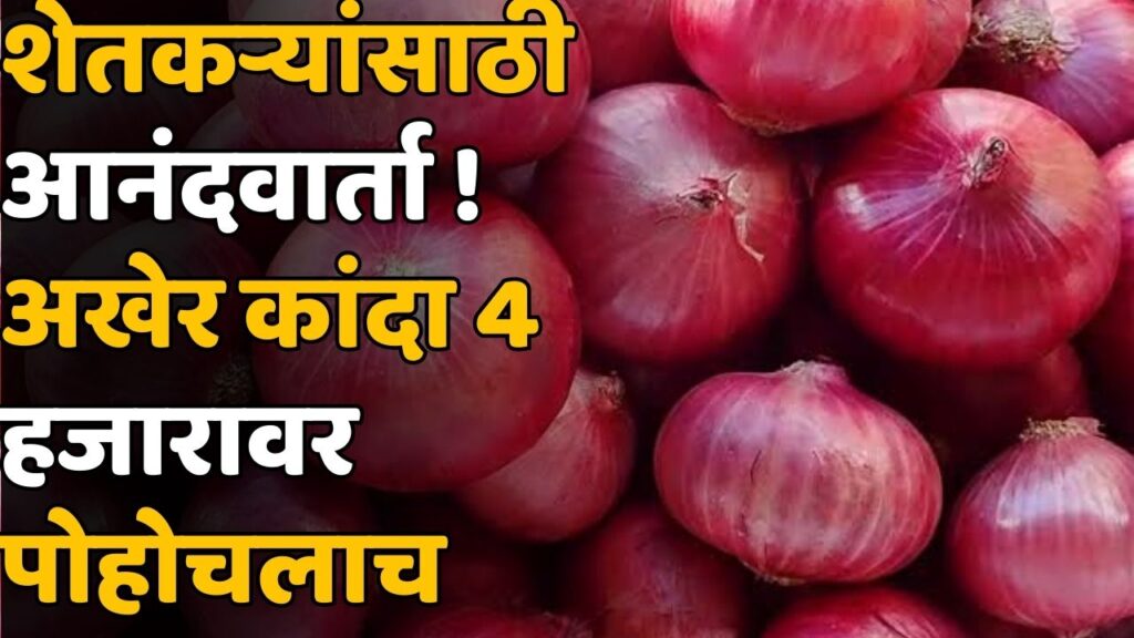 Onion Rate Maharashtra