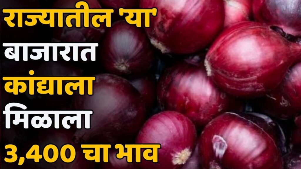 Onion Rate Maharashtra