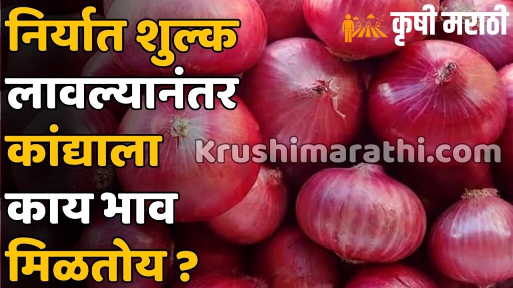 Onion Rate Pune Market Yard