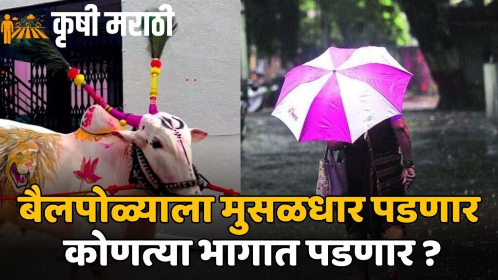 Maharashtra Bailpola Rain Alert