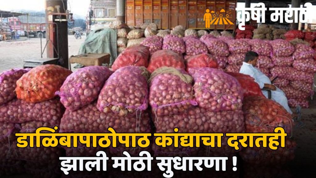 Onion Rate Maharashtra