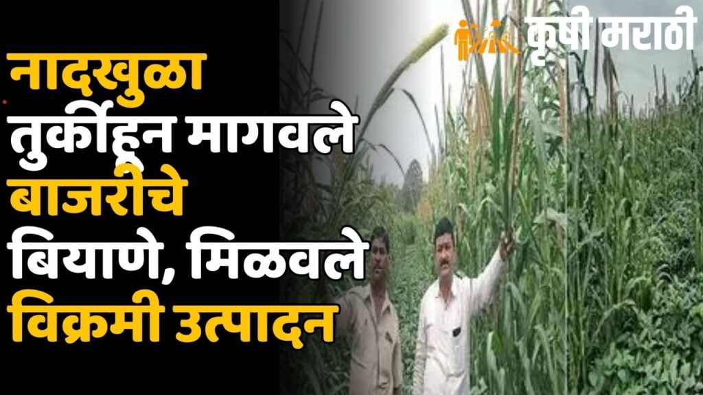 Pune Successful Farmer