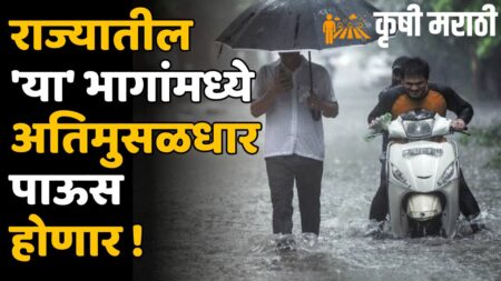 Maharashtra Rain