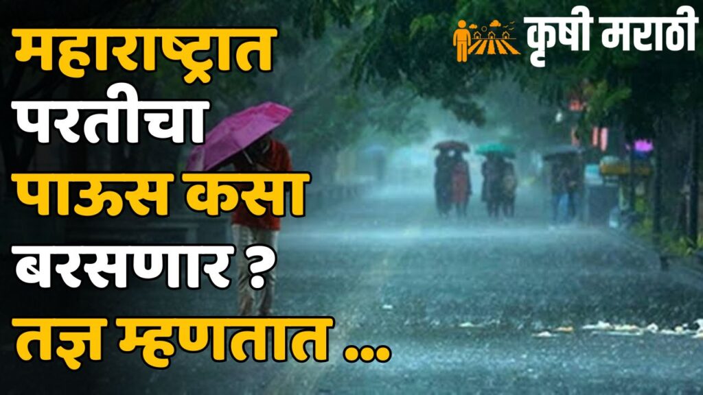 Maharashtra Rain News