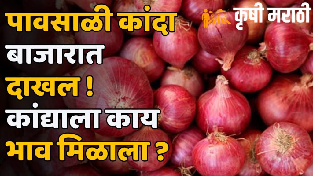 Onion Market News