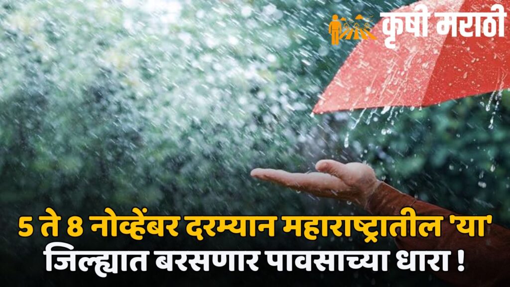 Maharashtra Rain