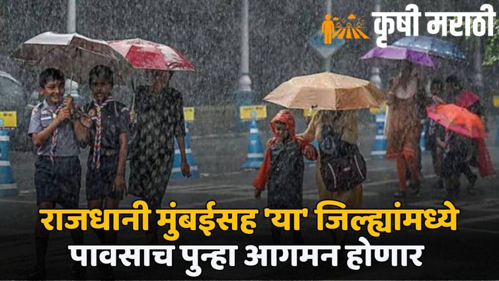 Maharashtra Rain Alert