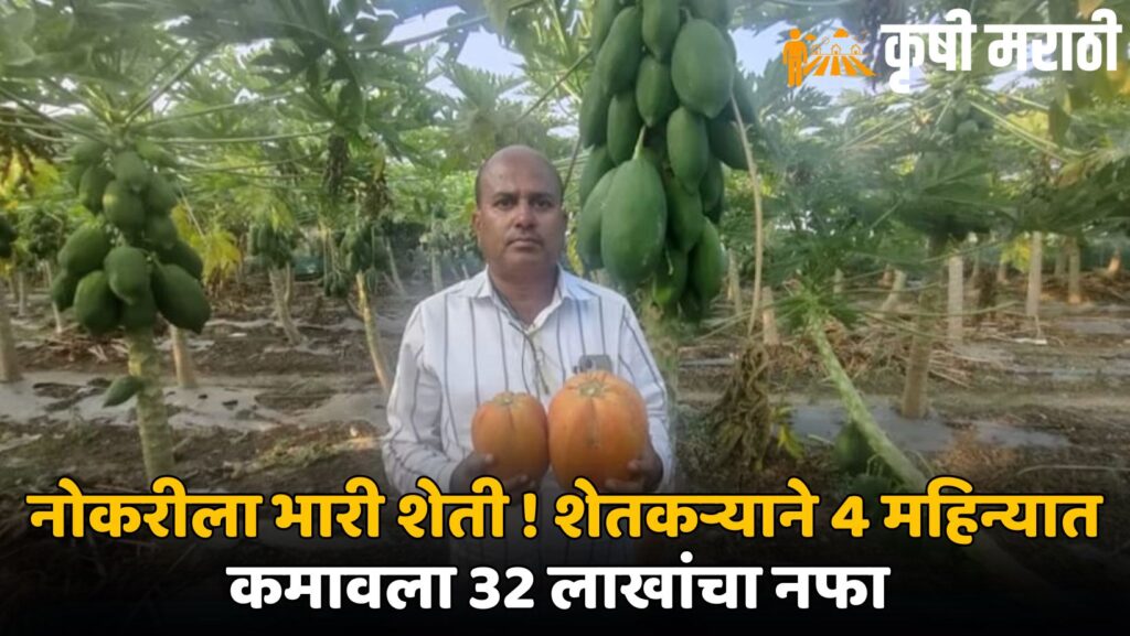 Maharashtra Successful Farmer