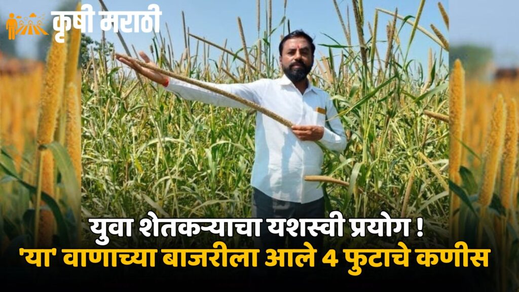 Solapur Farmer