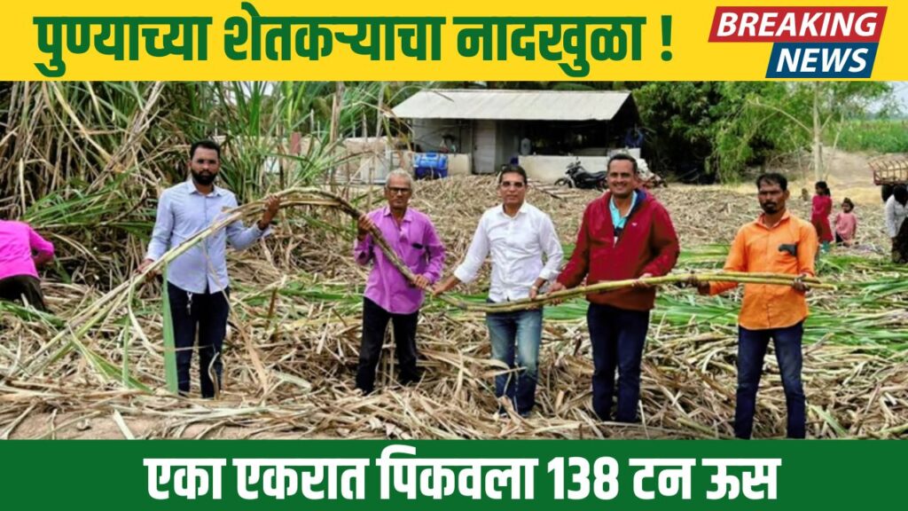 Pune Successful Farmer