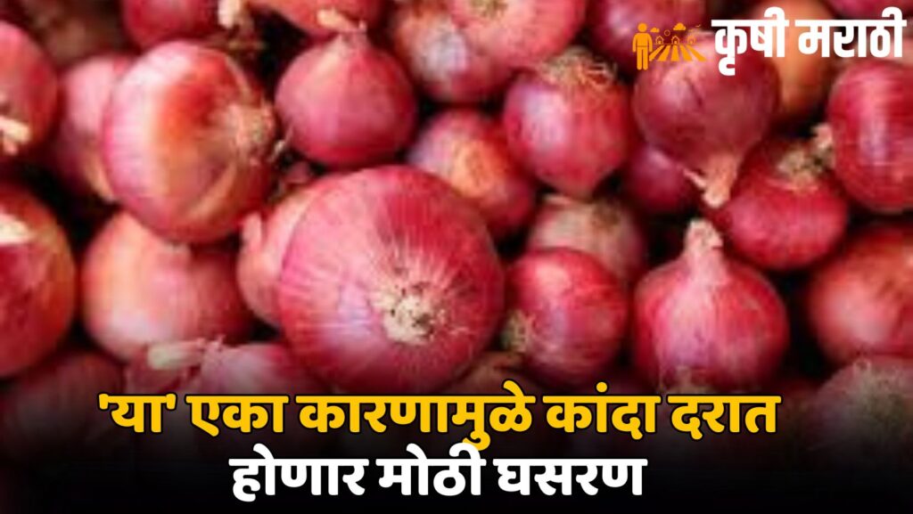 Onion Rate