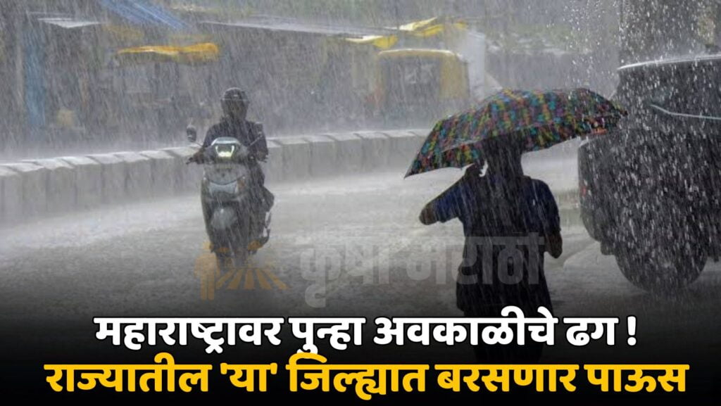 Maharashtra Rain