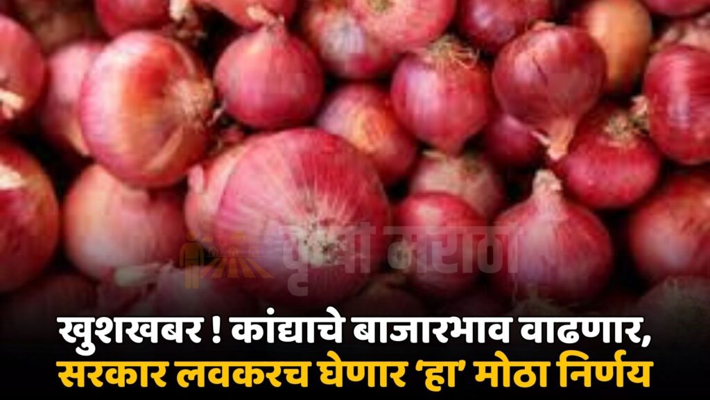 Onion Price