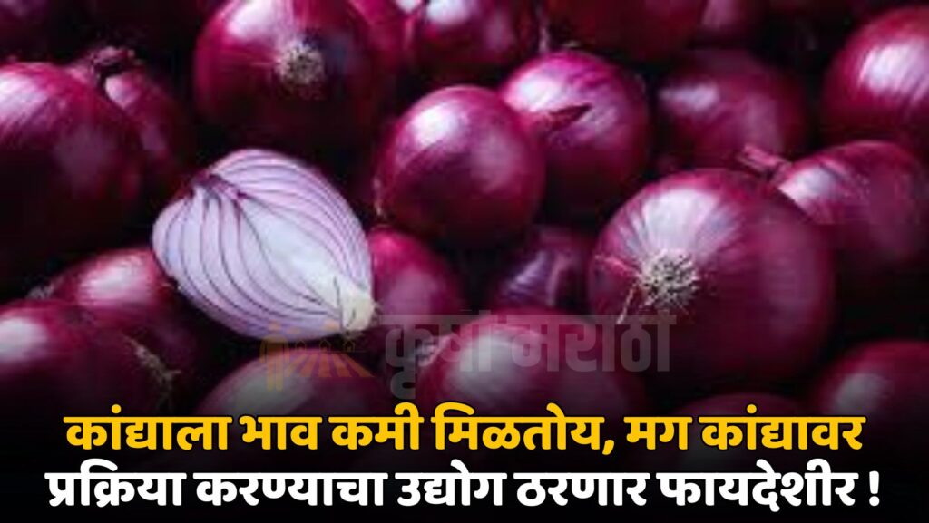 Onion Rate Maharashtra