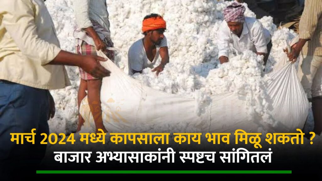 Cotton Market News