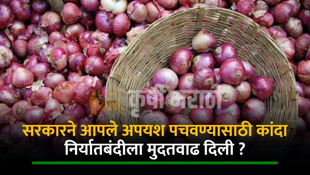 Onion Export News