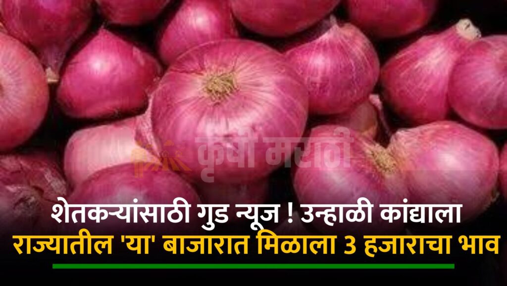 Onion Rate