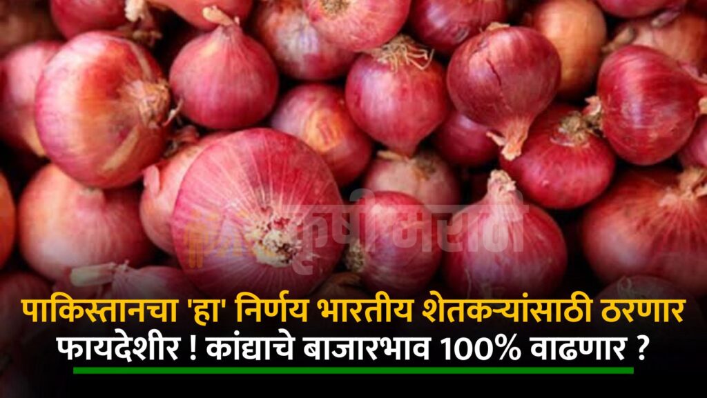 Pakistan Decision On Onion News