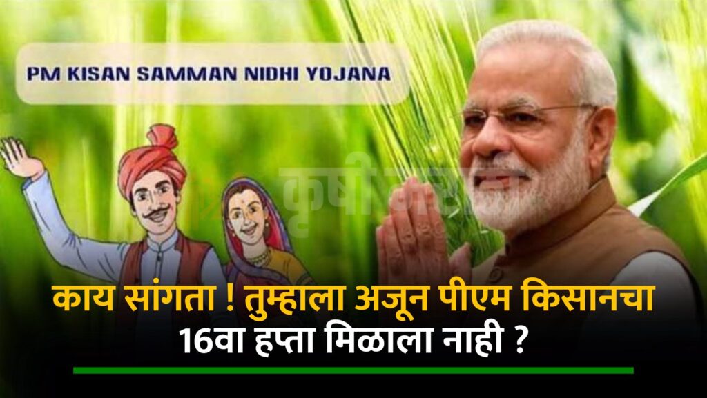 Pm Kisan Yojana