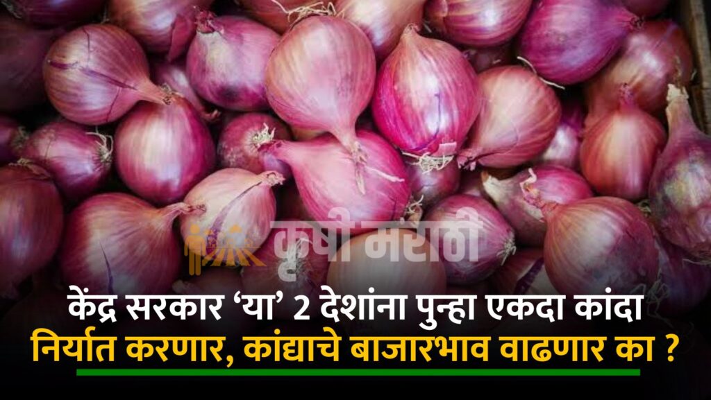 Onion Rate Will Hike