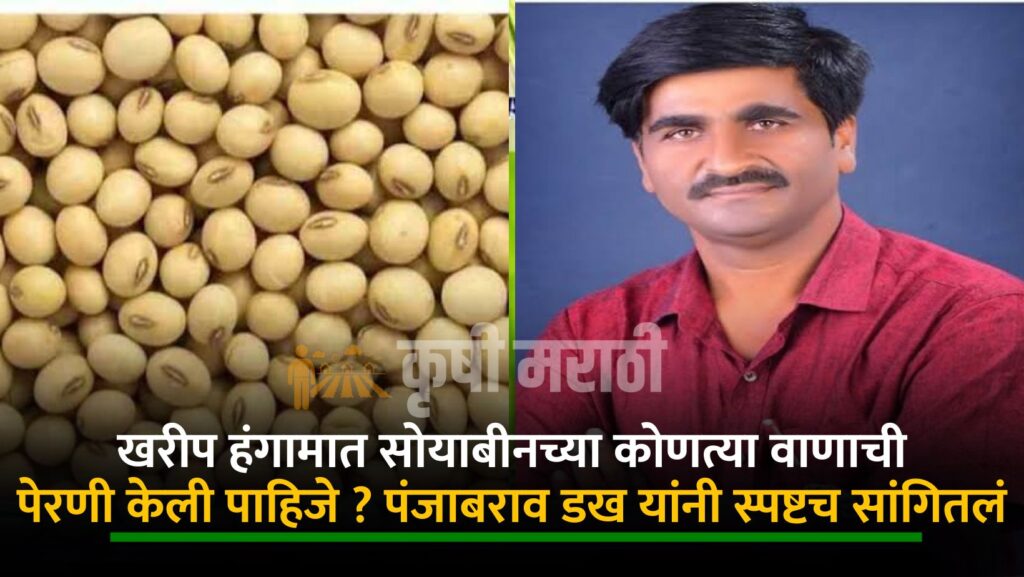 Panjabrao Dakh Soyabean Farming