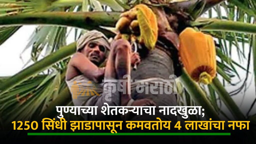 Pune Successful Farmer